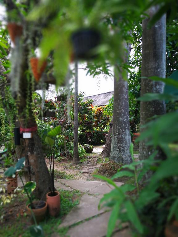 Baan Bua Guest House Csiangraj Kültér fotó